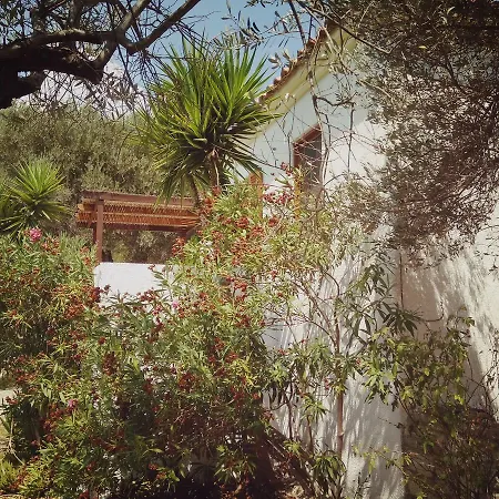 Vigla-Βίγλα 1 2 Villa Ormos  Exterior photo