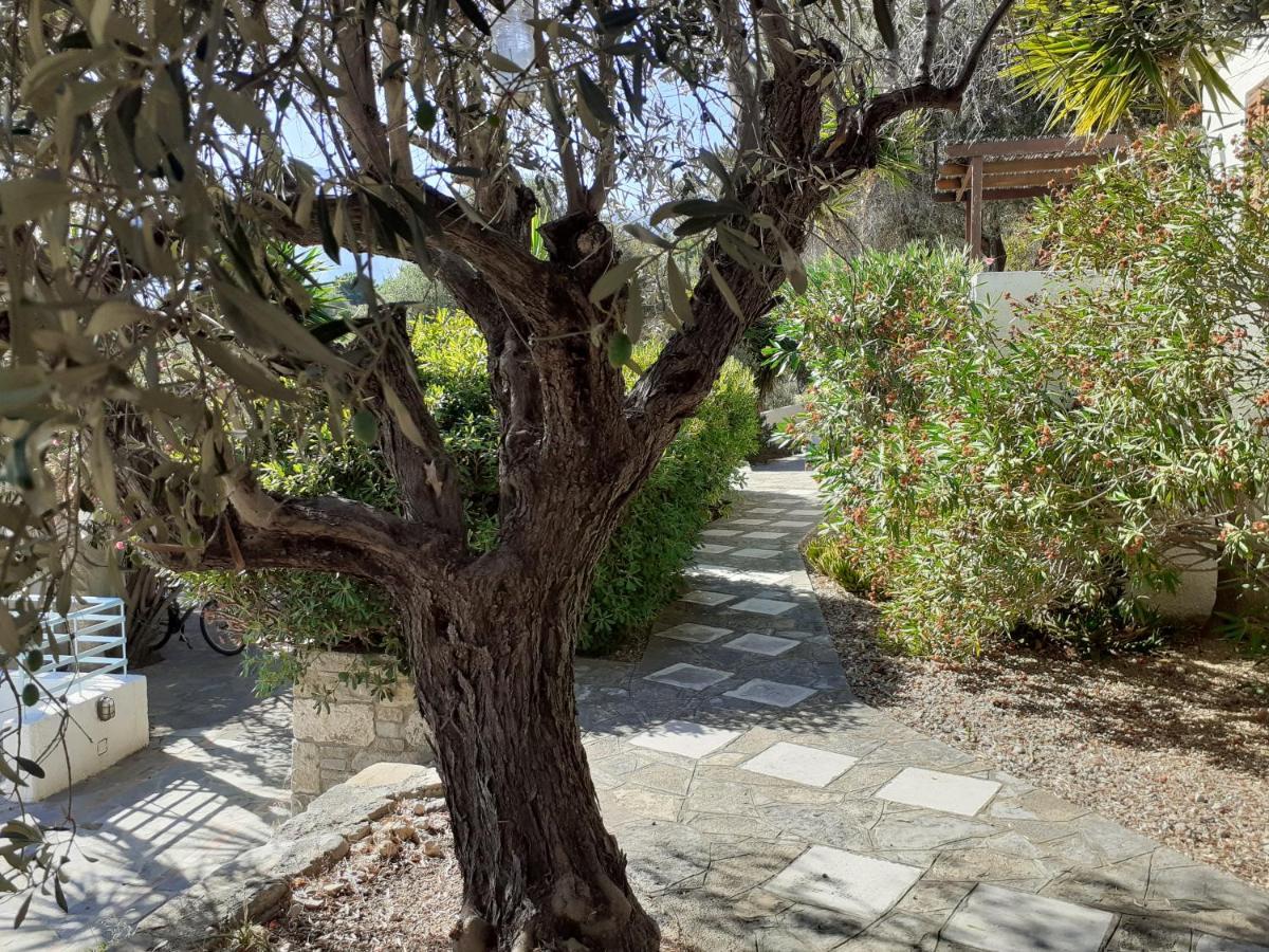 Holiday home Vigla-βίγλα 1 2