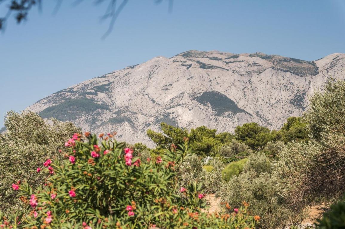 Holiday home Vigla-βίγλα 1 2