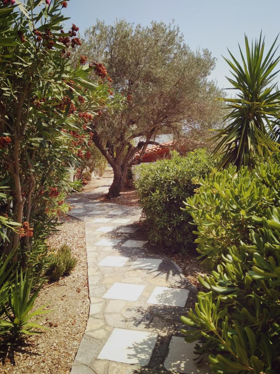 Vigla-βίγλα 1 2 Holiday home Ormos (Samos)